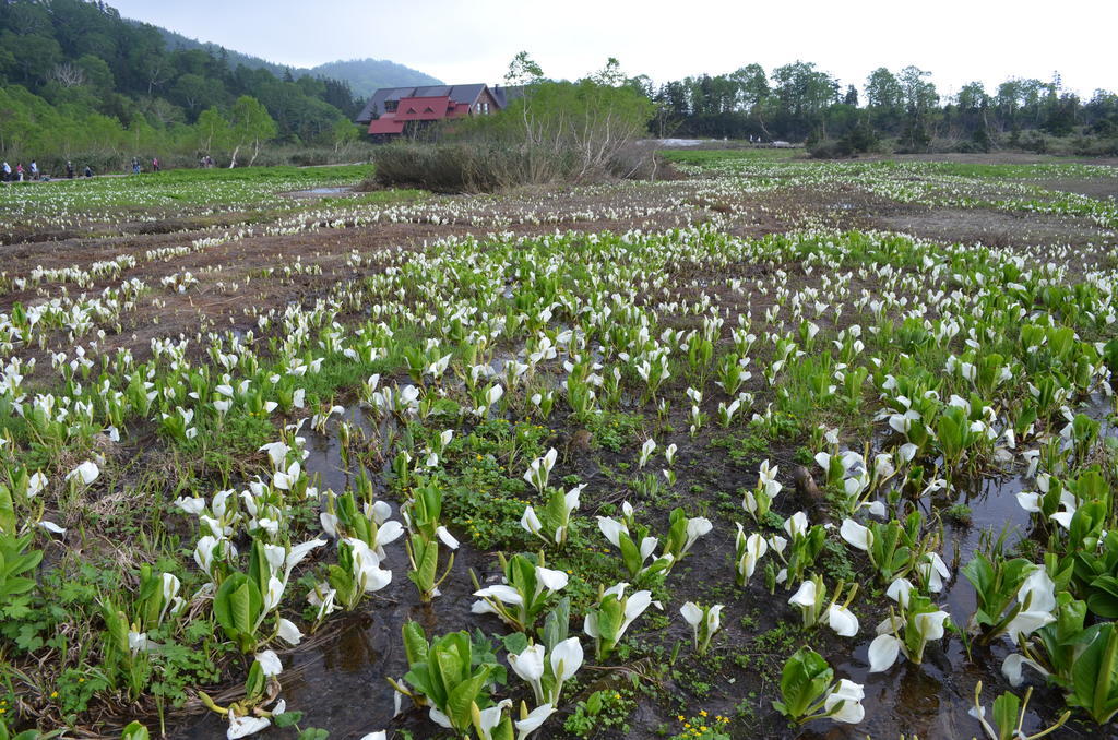 Lodge Schiheil Otari ภายนอก รูปภาพ
